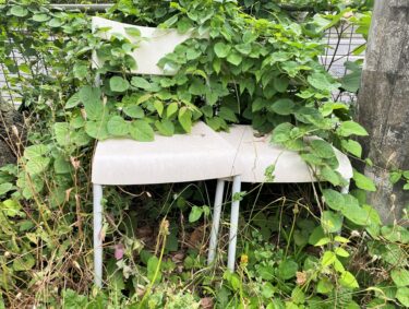 神奈川県厚木市D様邸の不用品回収事例