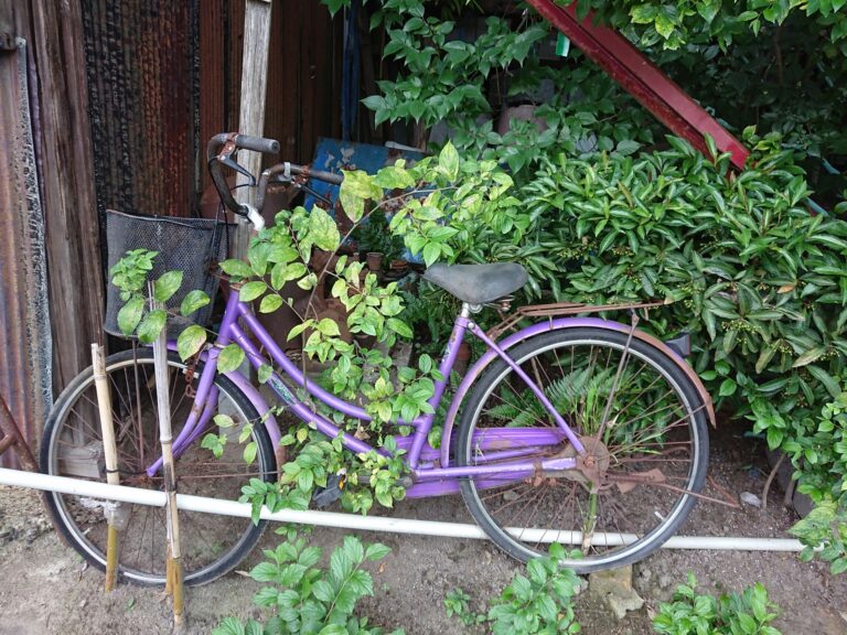 自転車