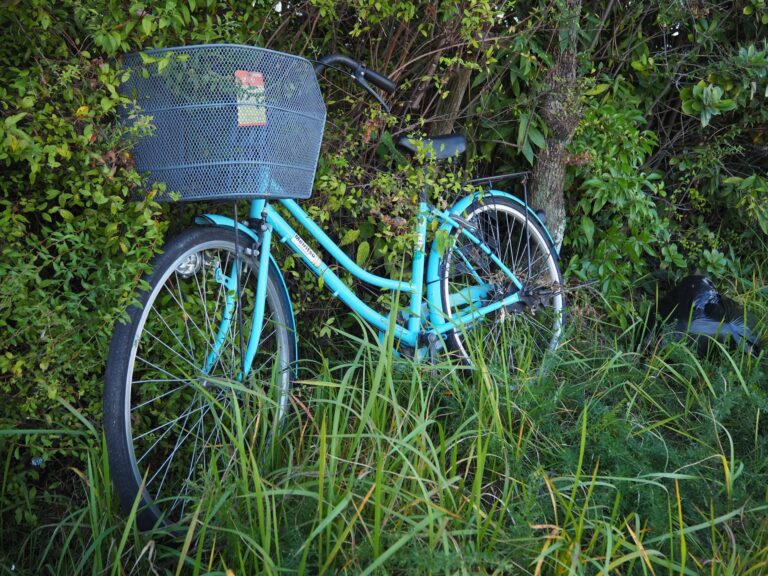 自転車