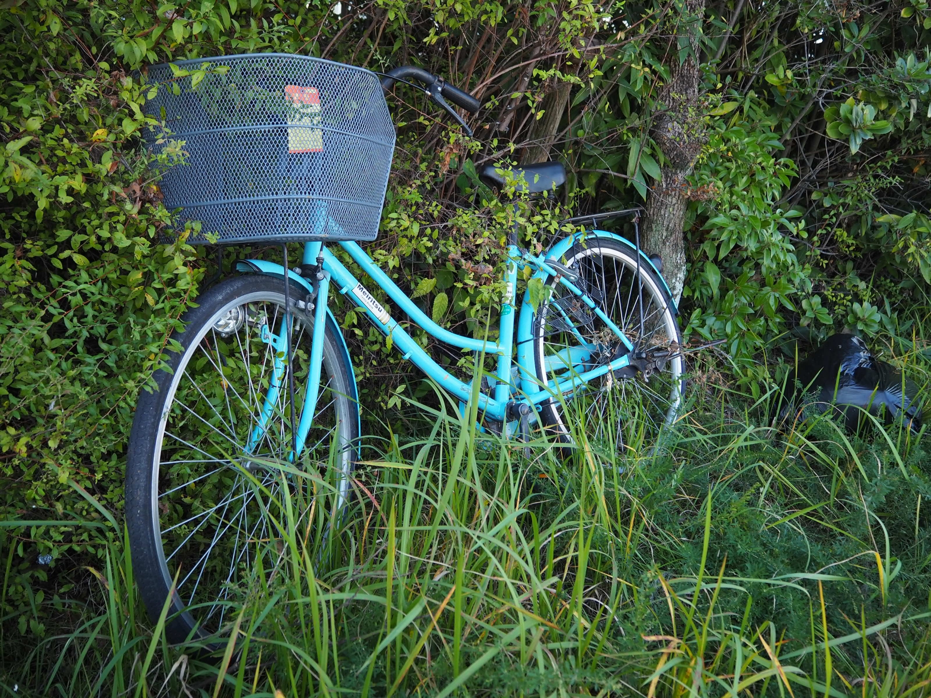 自転車
