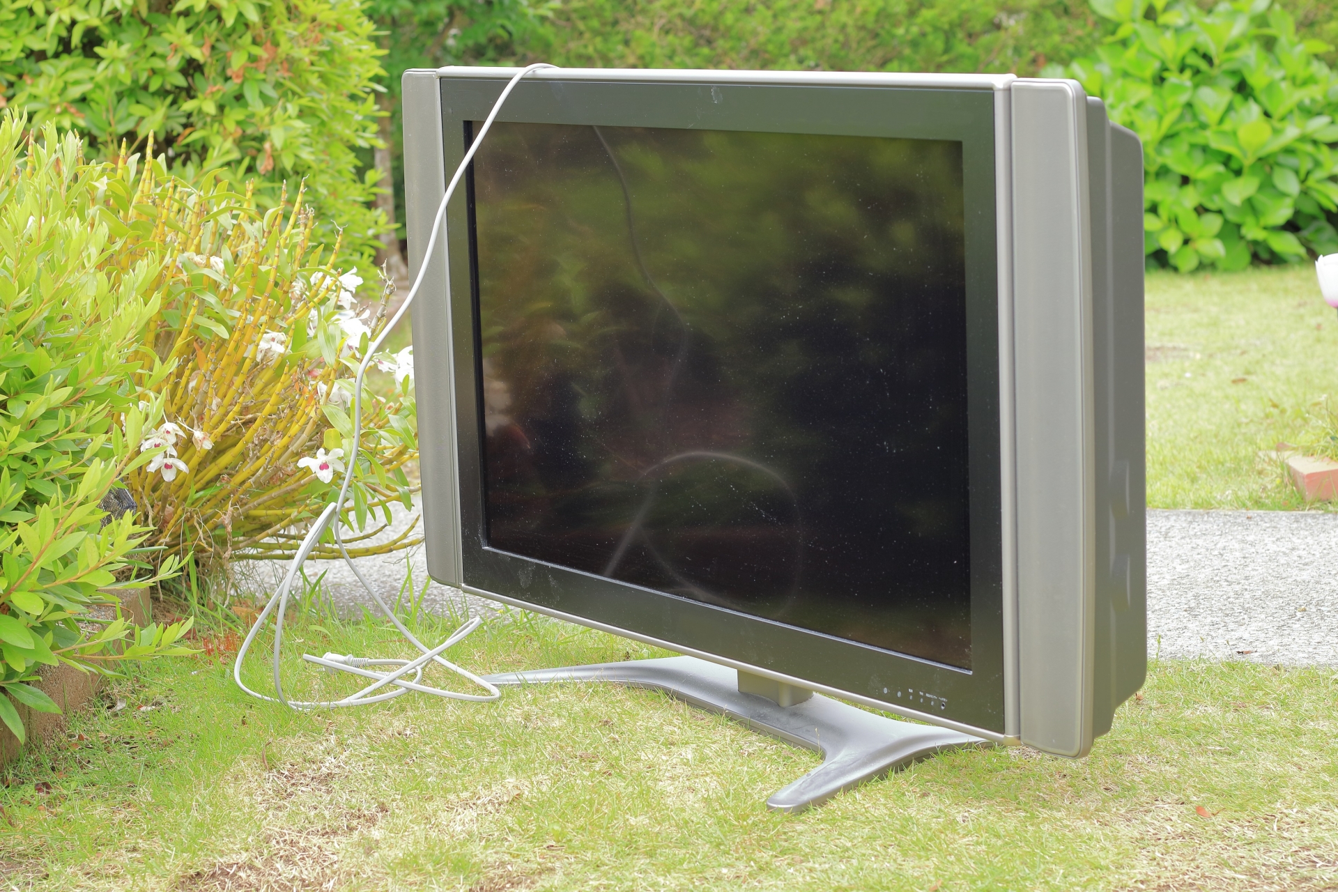 テレビ