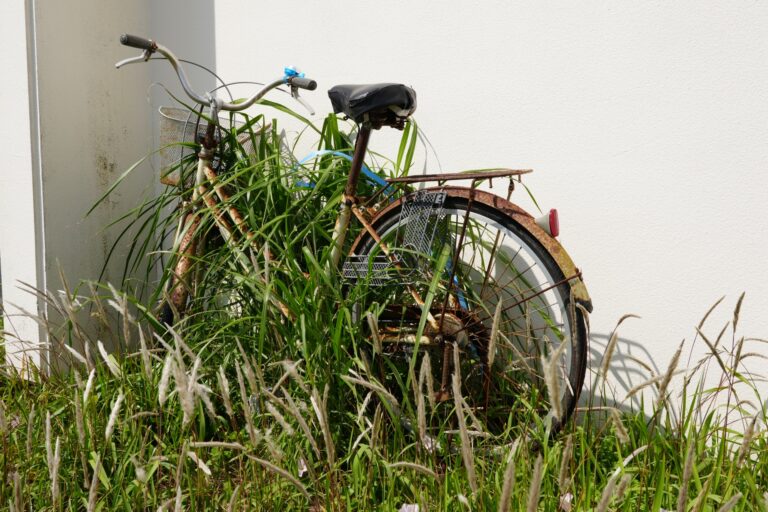 自転車