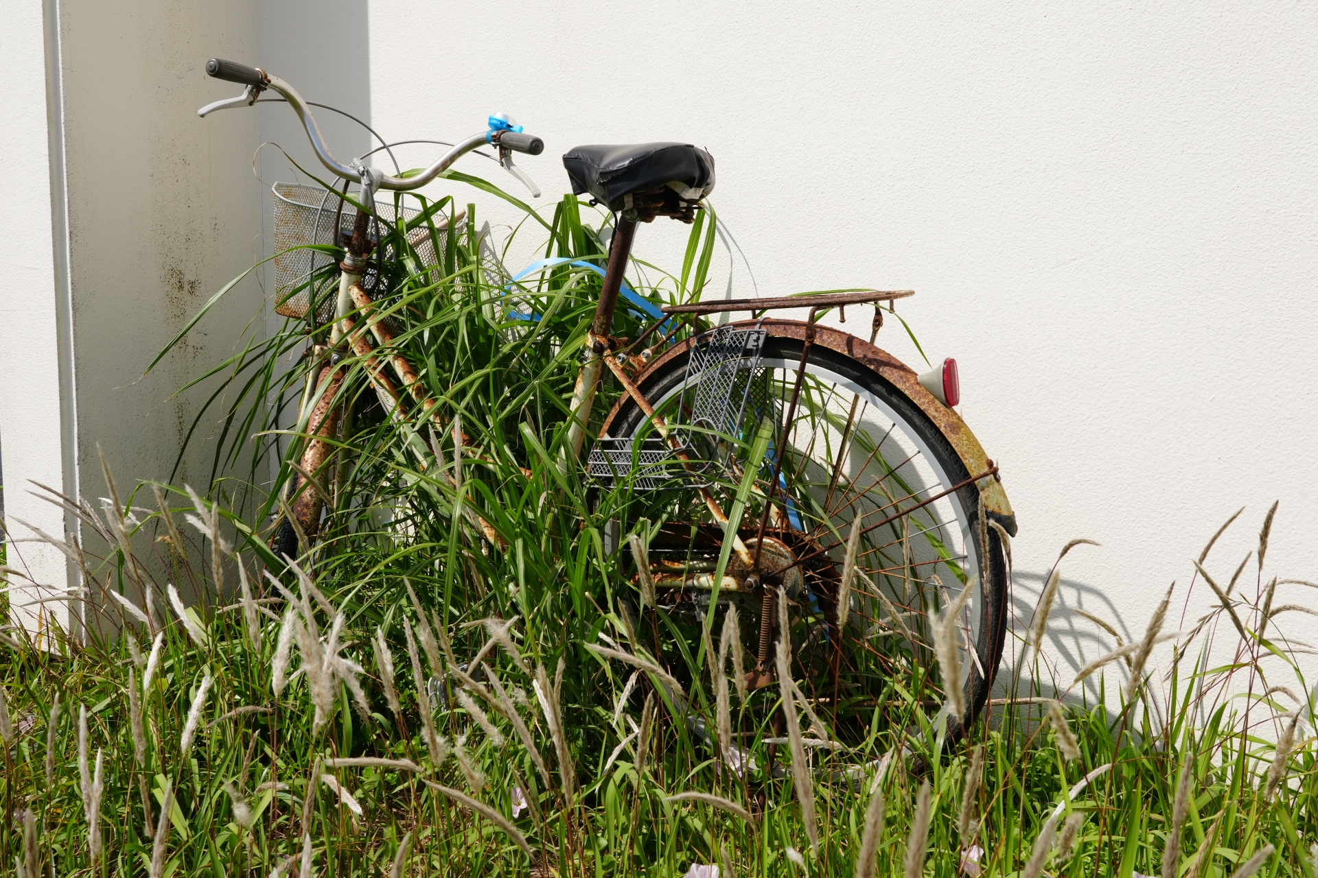 自転車