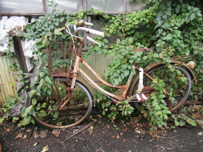 自転車