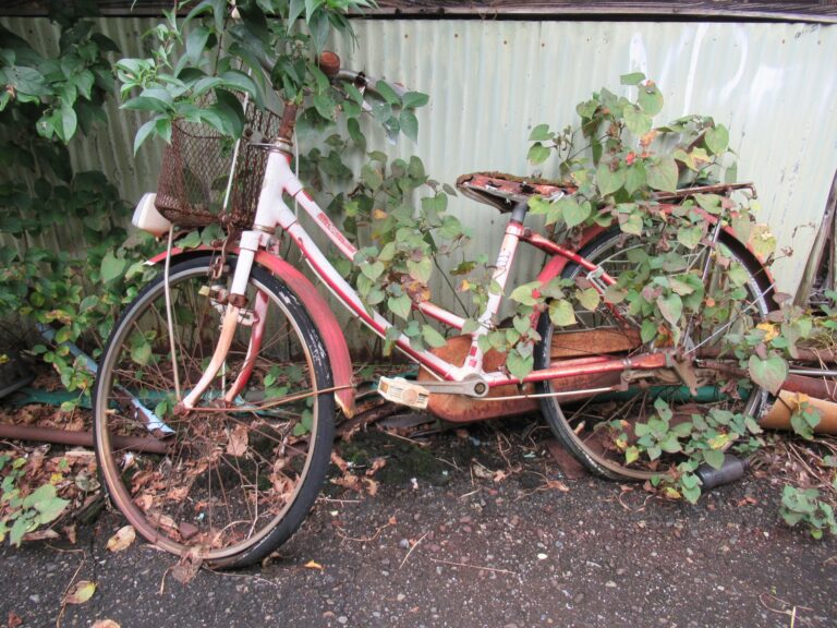 自転車